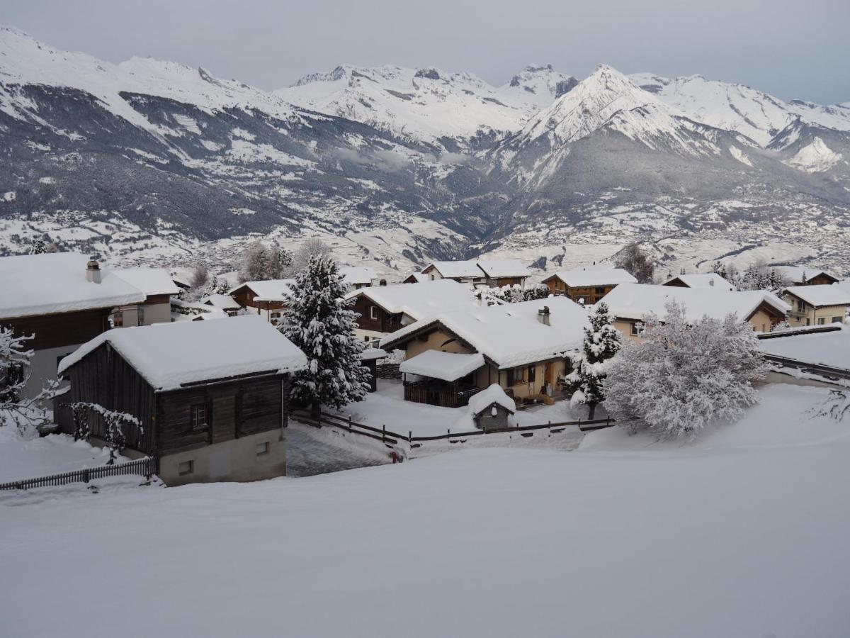 Pracondu 2 OUTDOOR&FUN appartement Superieur 3 pieces 6 pers Nendaz Extérieur photo